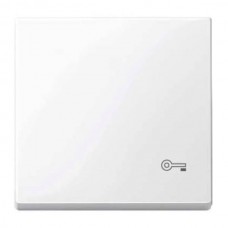 Клавиша с пиктограммой «ключ» Merten System M. Цвет Активный белый (MTN3303-0325)