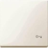 Клавиша с пиктограммой «ключ» Merten System M. Цвет Бежевый (MTN3303-0344)