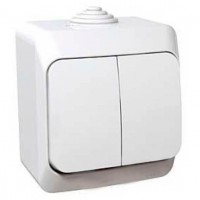 Двухклавишный наружный выключатель 16A Cedar Plus. Белый. WDE000550 Двухклавишный наружный выключатель 16A Cedar Plus. Белый. WDE000550