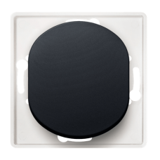 Выключатель одноклавишный Aling Conel EON цвет "Черный" (E605.E1)