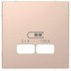 MTN4367-6051 Накладка для USB-розетки Merten D-Life "Шампань"