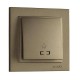 ⚡Кнопка для света с подсветкой серии Despina (Mono Electric). Цвет Бронза