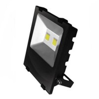 LED-прожектор Eurolight EV-100-01 100Вт (холодный свет)
